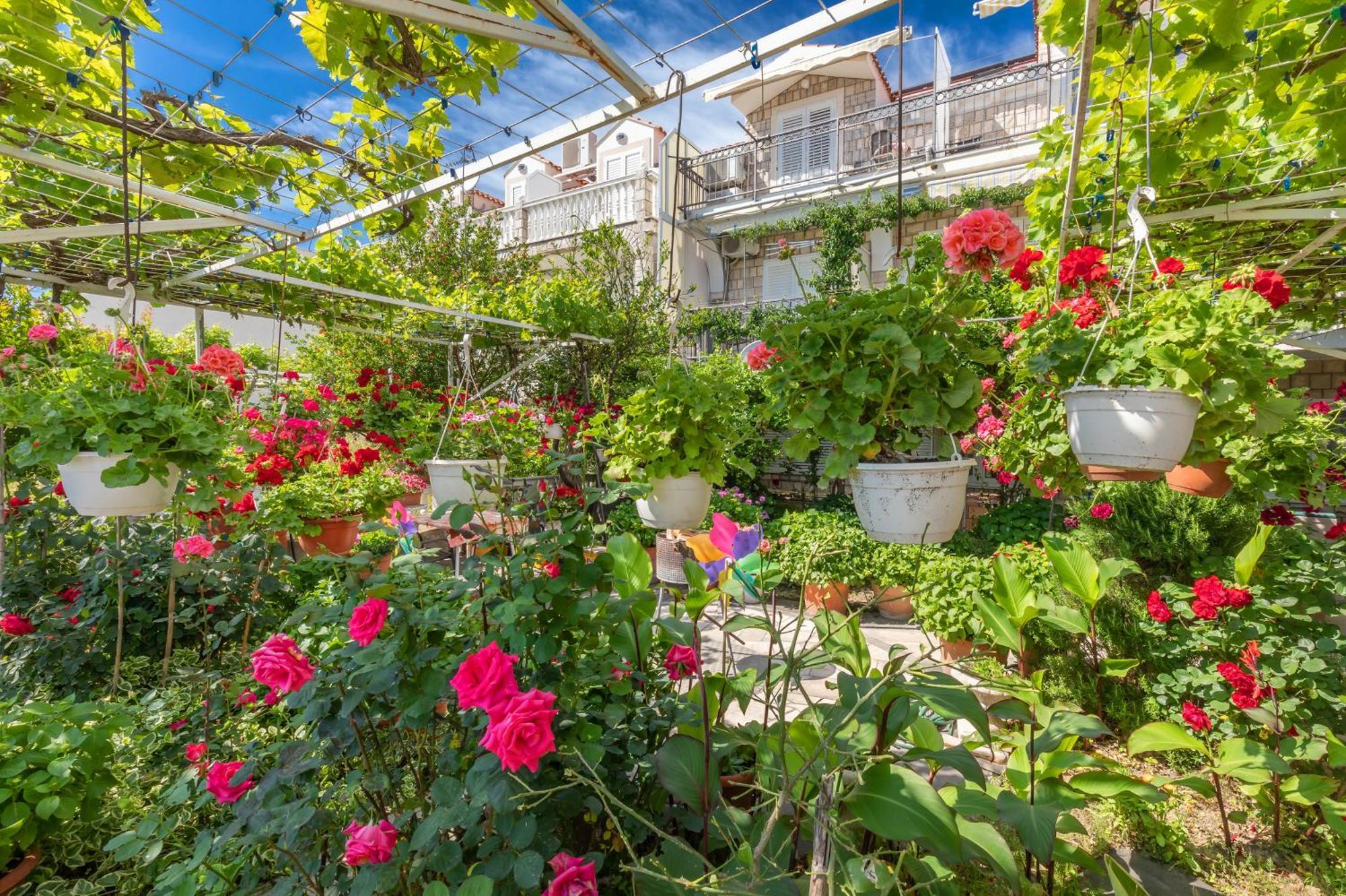 Apartments Galic Mlini Buitenkant foto